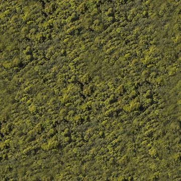 Forest and tree landscape texture abstract background, Aerial top view fore.. Illustrazione stock