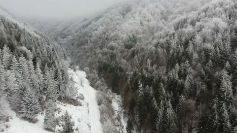 Forest and valley during the winter time up in Transylvania, Romania. Stock Footage 168576217