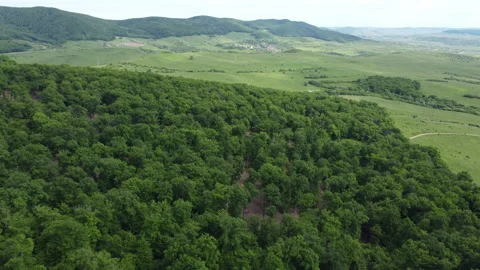 Forest and valley seen from the air Stock Footage 154808565