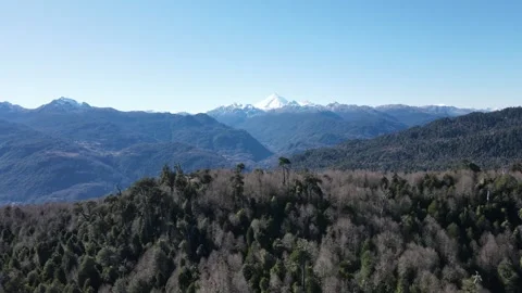 Forest and volcano by drone Stock Footage 159079885