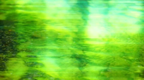 Forest and Water Stock Footage 11064382