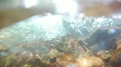 Forest and Water Stock Footage 11075222