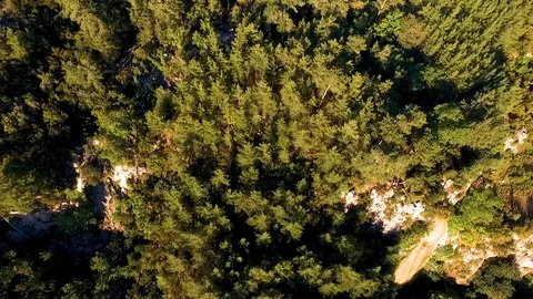Forest and Waterfall on the Cliff Drone Stock Footage 130112628