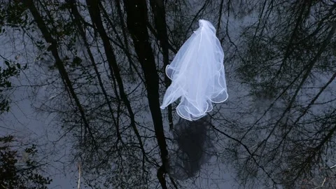 Forest and white veil. Reflection on the water.6 Stock Footage 130663929