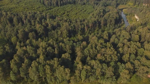 Forest and winding river on sunny day. Lots of trees grow along banks. Aerial Stockbeeldmateriaal 102455449