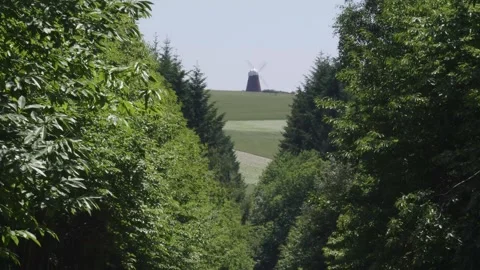 Forest and Windmill Stock Footage 140194281