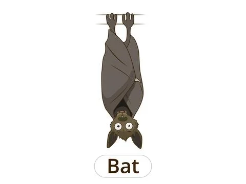Forest animal bat cartoon vector illustration Stock Illustration