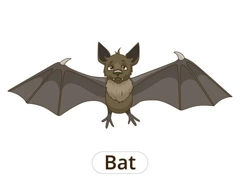 Forest animal bat cartoon vector illustration Stock Illustration
