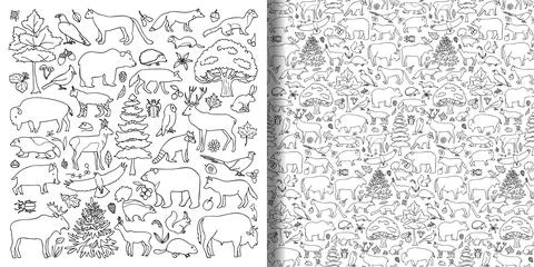 Forest animals and plants objects set and seamless pattern Stock Illustration