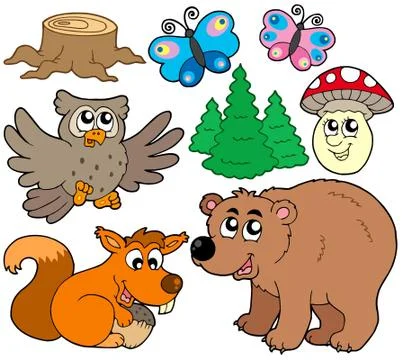 Forest animals collection  Stock Illustration