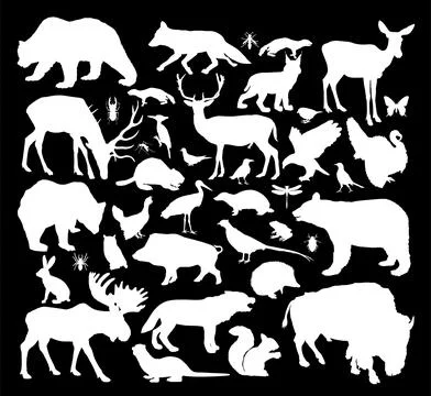 Forest animals collection vector silhouette isolated Stock Illustration