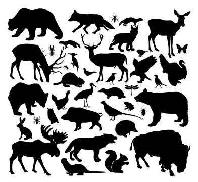 Forest animals collection vector silhouette isolated 스톡 일러스트