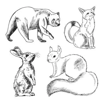 Forest animals with nature elements. Bear, fox, rabbit, squirrel. Textile Stock Illustration