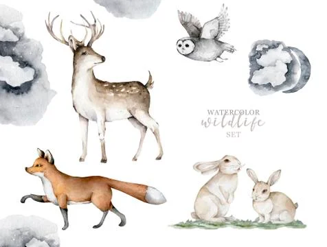 Forest animals. Realistic winter cute walking wildlife fox, deer, owl and Stock Illustration