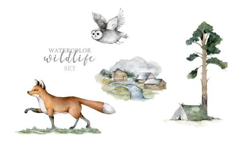 Forest animals. Realistic winter cute walking wildlife fox, owl and landscape Stock Illustration