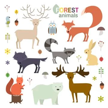 Forest animals set in flat style. Wolf, fox, raccoon, owl, deer, bear, squi.. Illustrazione stock