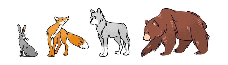 Forest animals set, flat vector illustration of bear, wolf, fox and hare. W.. Stock Illustration