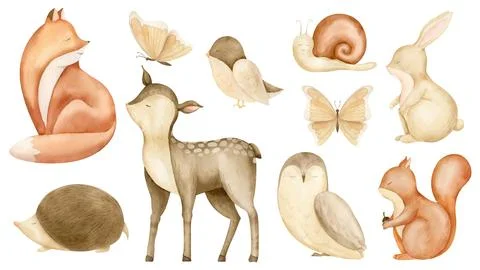 Forest Animals set. Hand drawn watercolor illustration of woodland squirrel, fox Stock Illustration