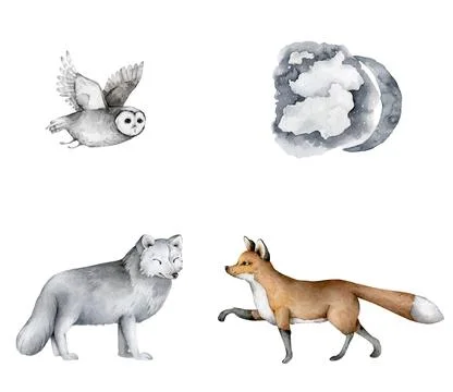 Forest animals set. White wolf, owl anf fox Hand drawn watercolor wildlife is Stock Illustration
