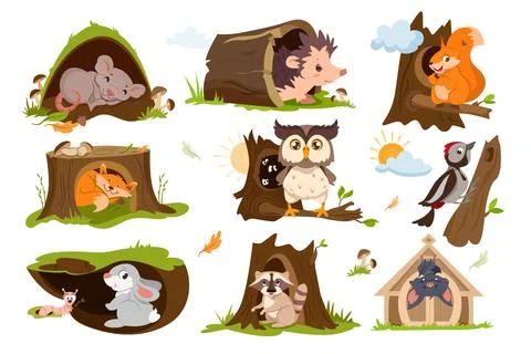 Forest animals sleep or hibernate in tree holes, hollows Illustrazione stock