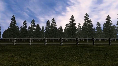 Forest animation left to right Stock Footage