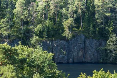 The forest is approaching the very edge. Stock Photos