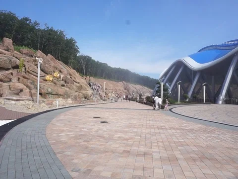 The forest at the aquarium Vídeo Stock 88979244