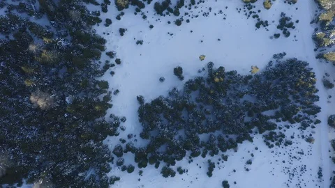 Forest area after snowfall Stock-Footage 129367724