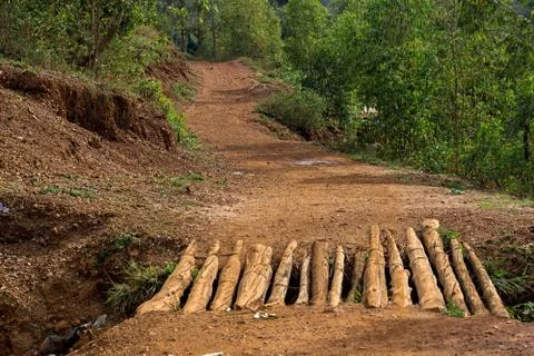 A forest area in Gikondo,Kigali Stock Photos