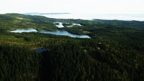 Forest Area in Norway Stock Footage 81418013