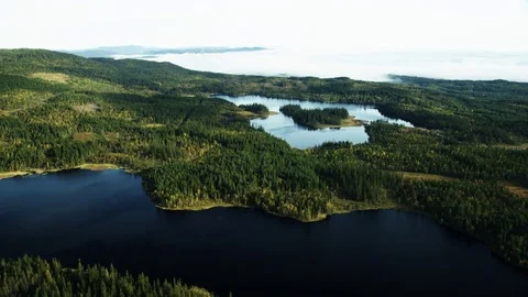 Forest Area in Norway Stock Footage 81418149