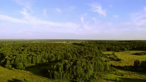 A forest area in the rays of the evening sun. Stock Footage 171993310