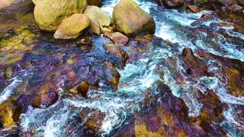 Forest Area - River Flowing Stock Footage 264455400
