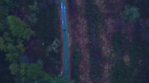 Forest area.Drone flying over a young couple Stock Footage 230676885