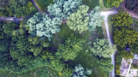 Forest arial drone flight view Video stock 112150468