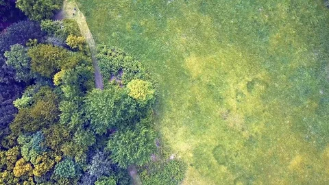 Forest arial view drone flight clip Stock Footage 112150525