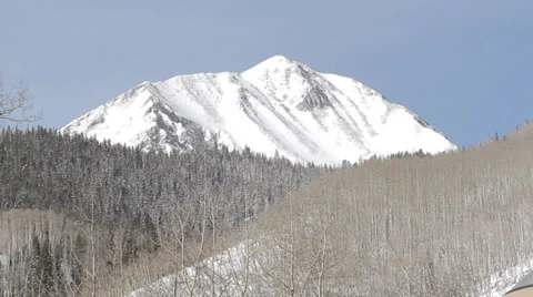 Forest Aspen Mountains Stock Footage 38801983
