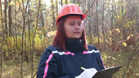 Forest assessment activity showcasing dedication to environmental conservation Stock Footage 295249164