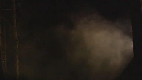 Forest atmosphere at night Video stock 128029753
