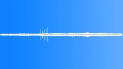 Forest Atmosphere Recorded In Sound Effect
