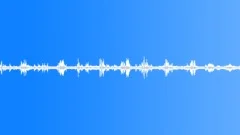 Forest atmosphereSound Effect