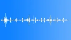 Forest Atmosphere Sounds Sound Effect