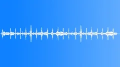Forest Atmosphere SoundsSound Effect