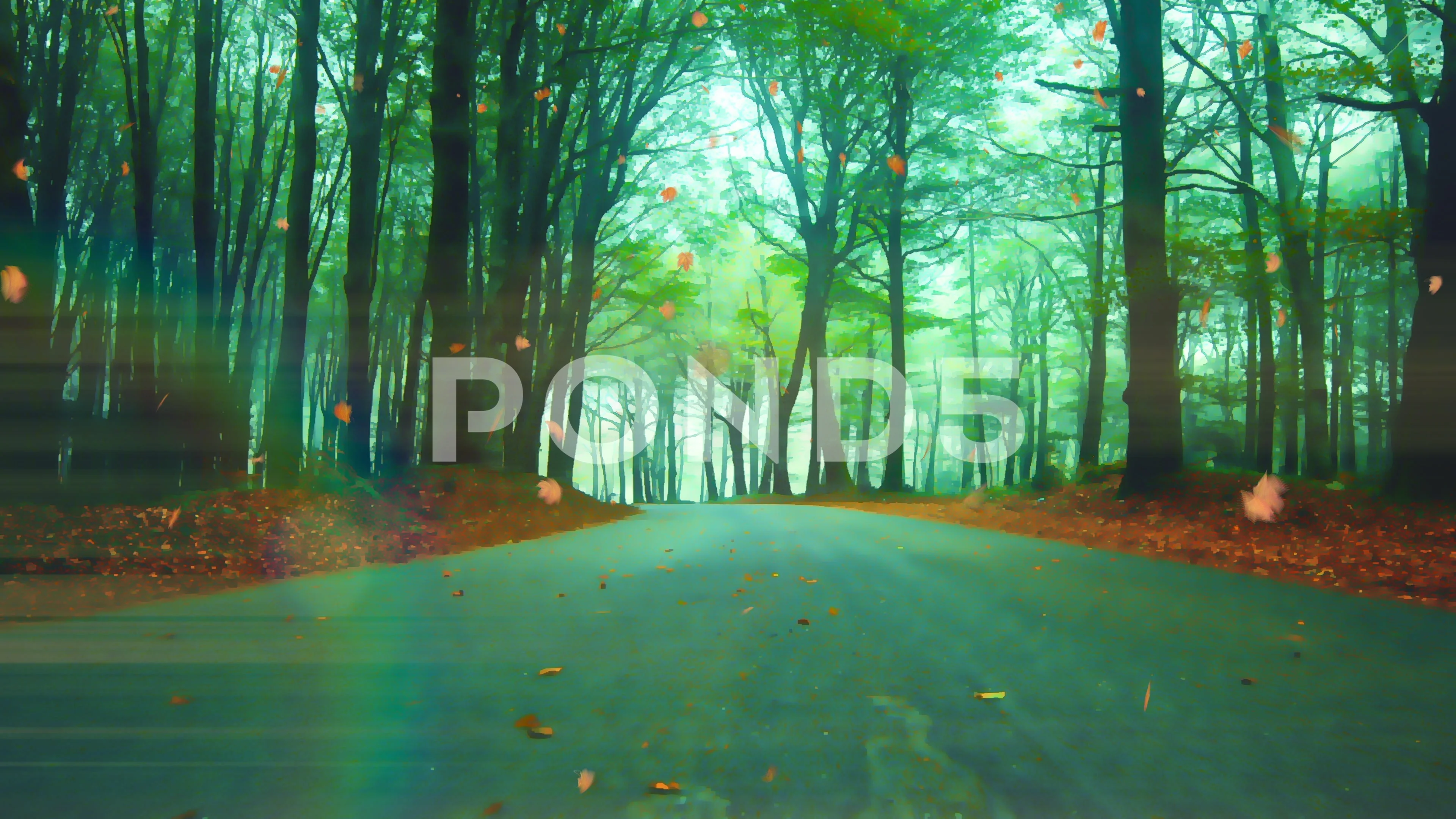 Forest In Autumn Anime Background | Stock Video | Pond5