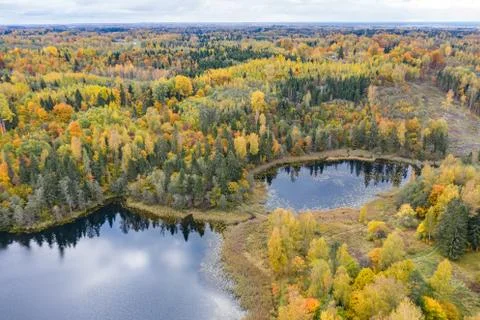 Forest in autumn colors. Colored trees and a meandering blue river. Red, yell Stock Photos