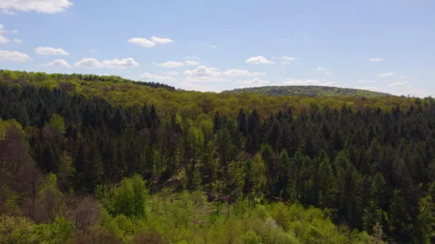 Forest in Autumn/ Fall 03 動画素材 287345755