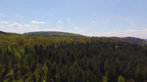 Forest in Autumn/ Fall 05 動画素材 287346420