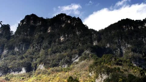 Forest in Autumn 库存影片 10575637