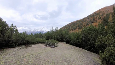 Forest in the autumn Stock Footage 103498937