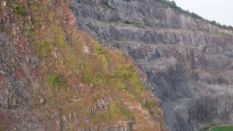 Forest in autumn Stock Footage 165615749